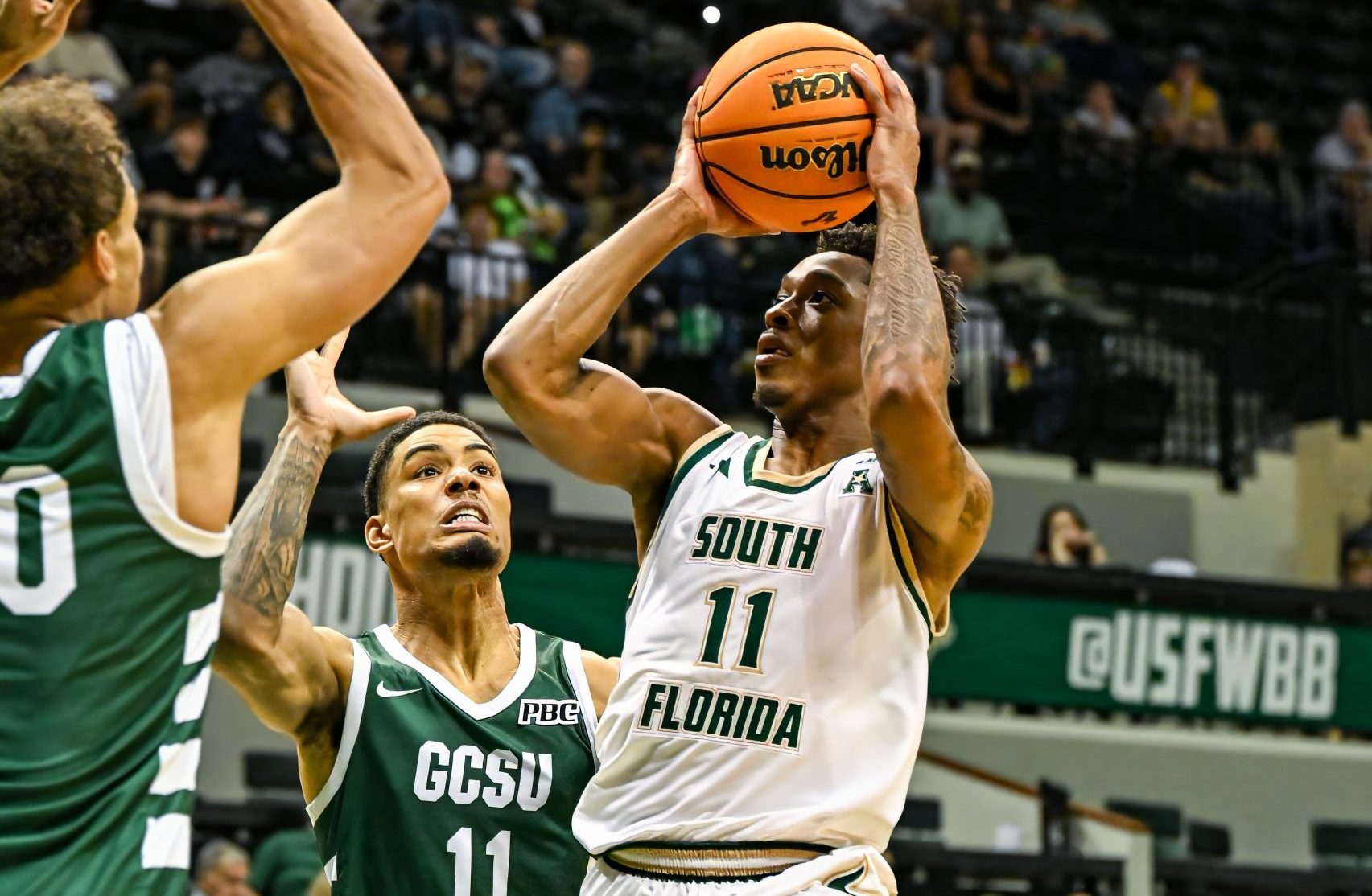 USF Plays Complete Game in 111-50 Win Over Georgia College - FL Teams